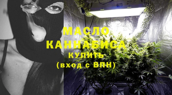 дмт Осинники