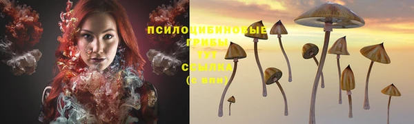 первитин Армянск