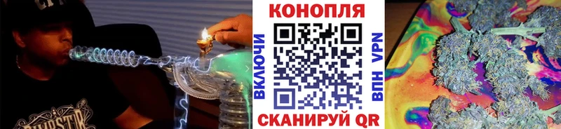 Канабис OG Kush Верещагино